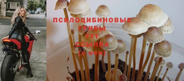 кокс Белоозёрский